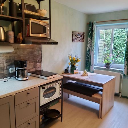 Studio-Apartment Mit Kleinem Gartenanteil Burg auf Fehmarn Exteriör bild